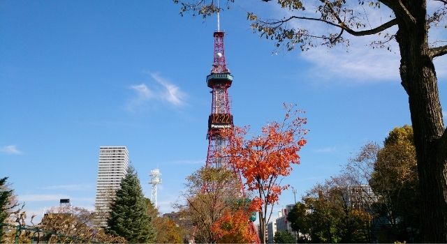 札幌テレビ塔の写真
